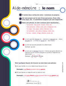 Aide-mémoire : le nom