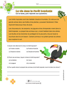 La vie dans la forêt tropicale