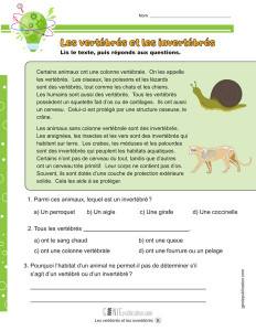 Les vertébrés et les invertébrés