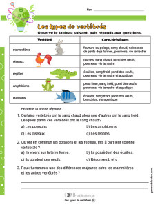 Les types de vertébrés