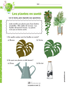 Les plantes en santé