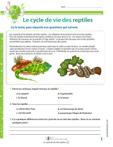 Le cycle de vie des reptiles