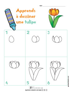Apprends à dessiner une tulipe